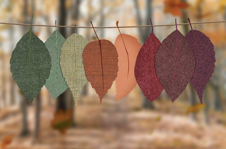 Tips for Building a Fall Color Wardrobe